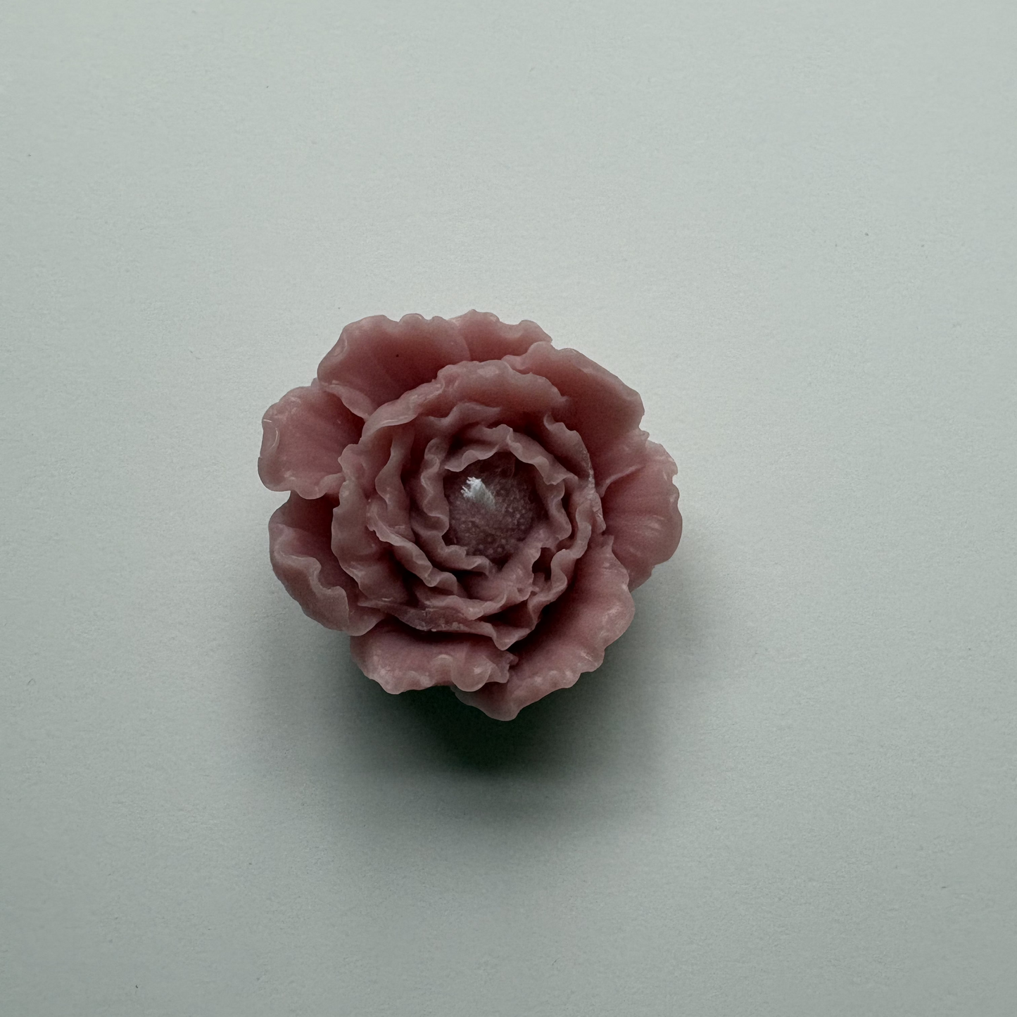 Kleine pioen